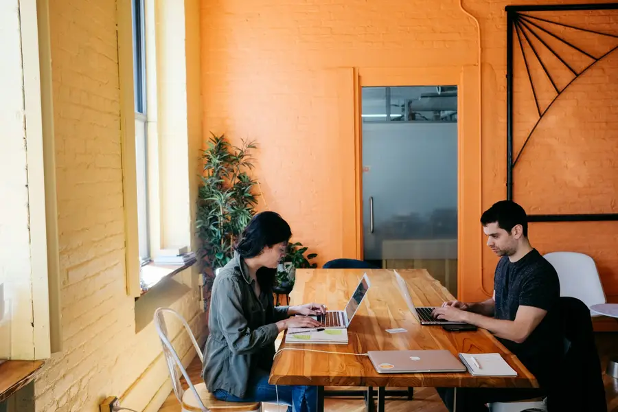 Two people working on laptops at a long table in a sunlit office
